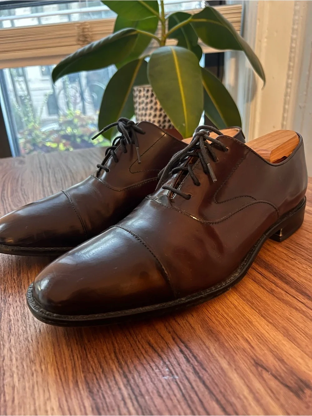 Cole Haan elegant brown